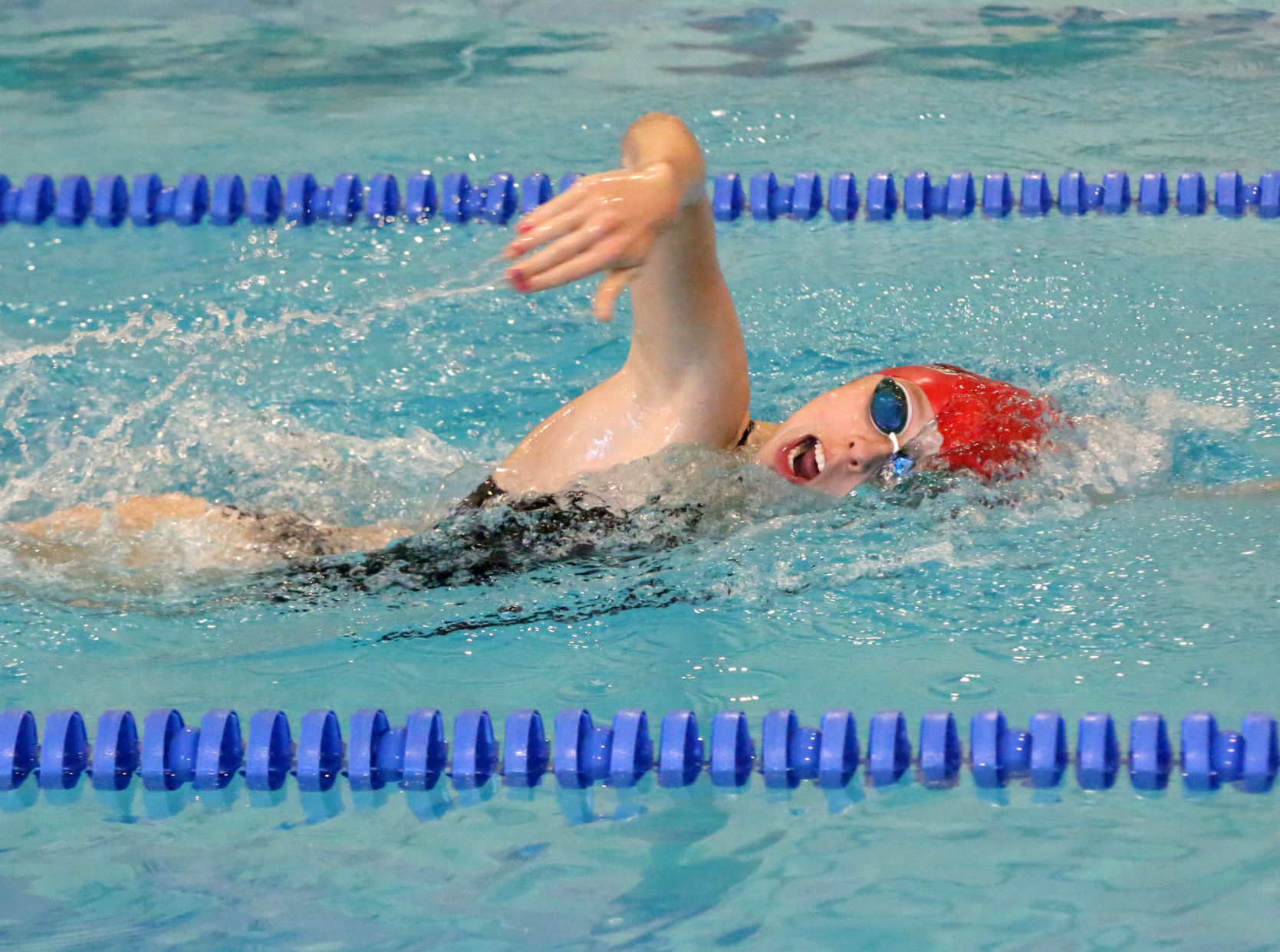 Ocean City Ridley Swimming